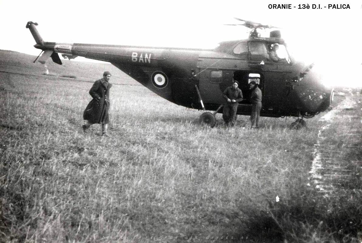Palica - Divers 029.JPG
